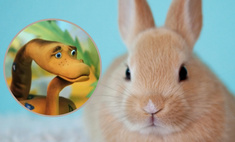 Тест: Кто ты больше — удав или кролик?