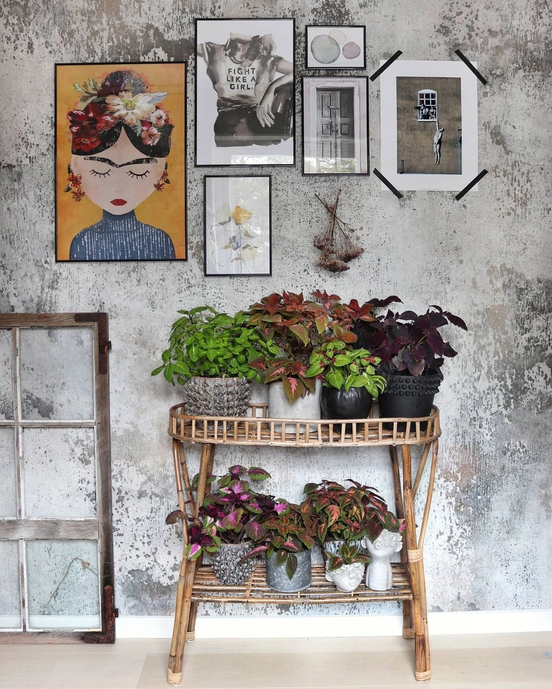 Растения в интерьере: 6 идей для создания мини-сада | Источник: @gotlands.huset