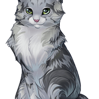 Аватарка Серая Кошка