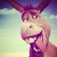 Аватарка SWAGGA FOX