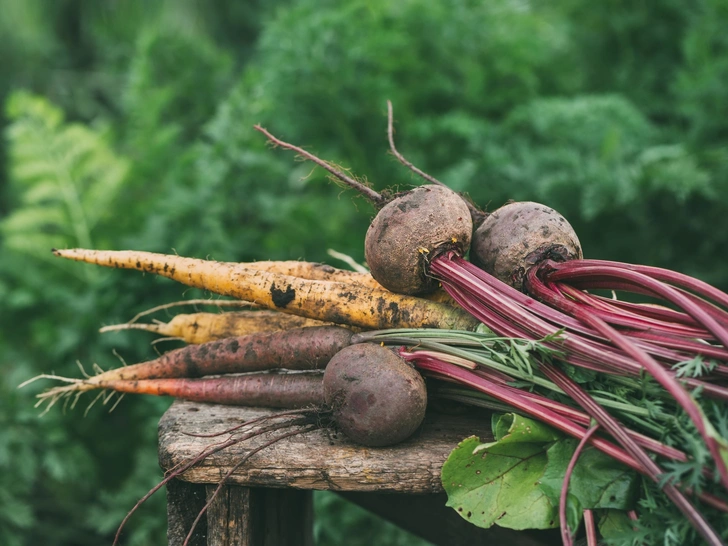 Крадут всю пользу: 7 кулинарных ошибок, которые делают продукты ядовитыми — не делайте так