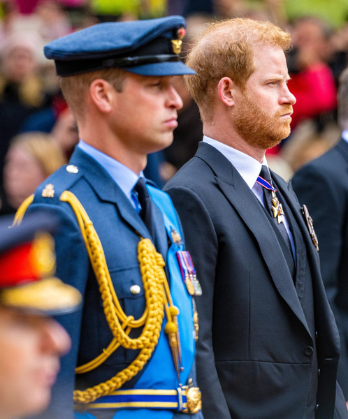 Разборки по-королевски: Принц Гарри подрался с принцем Уильямом из-за Меган Маркл