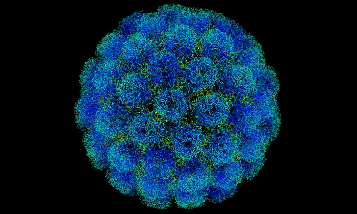 Вирус SV40 (Symian virus 40) | Источник: Phoebus87 (CC BY-SA 3.0) / Wikimedia Commons