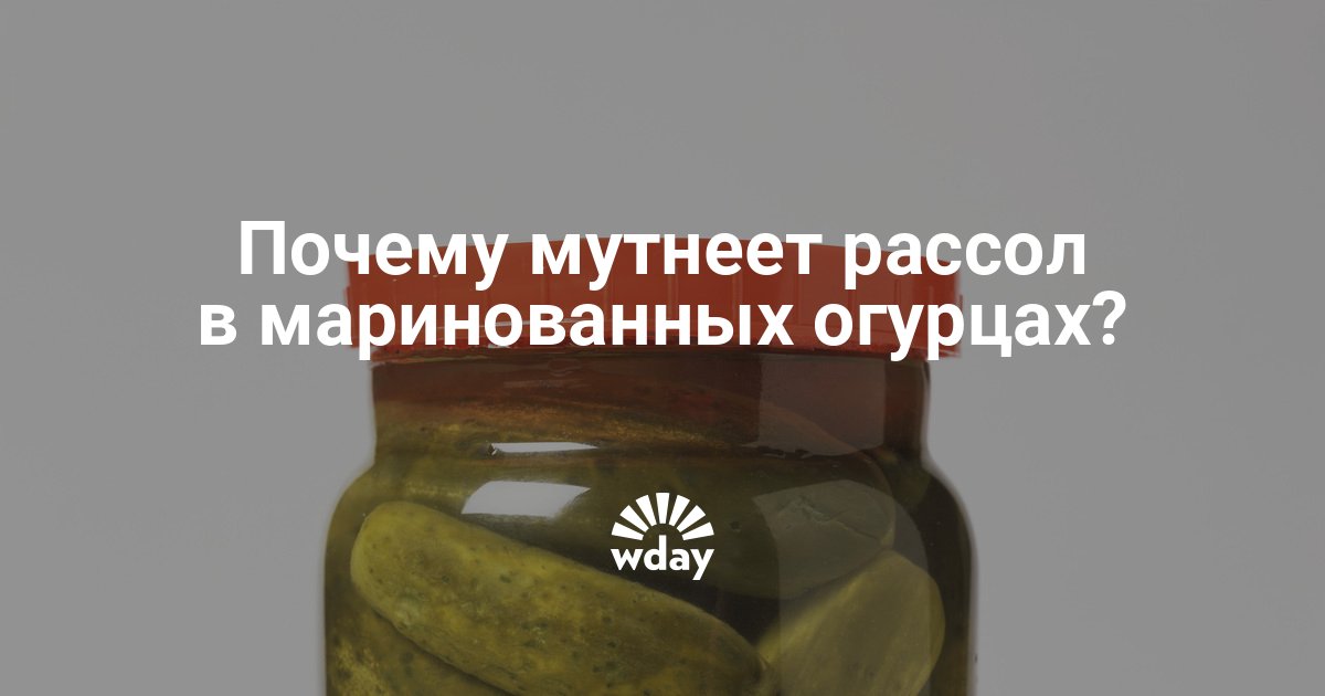 Почему рассол в огурцах мутнеет.