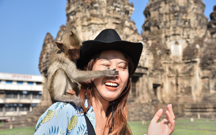 Пришлось вызывать спасателей: в Таиланде обезьяна украла у туристки $1500