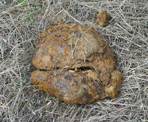 20 метеоритов, упавших на Россию: новые подробности