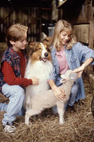 Michelle Williams, "Lassie" Мишель Уильямс