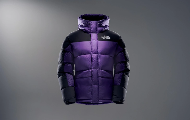 The North Face Himalayan Parka, 34000 руб.