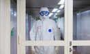 В Роспотребнадзоре решили ввести дополнительные меры безопасности из-за риска ввоза чумы