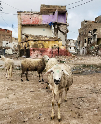 Жизнь в трущобах: 4 места, куда туристам не стоит выбираться самостоятельно