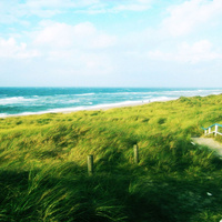 Аватарка Алена Савина