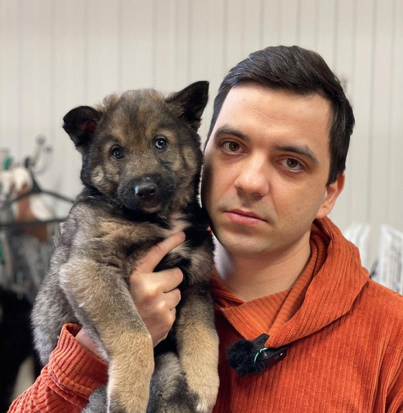 Спасти сотни собак, потратив на это состояние: история автора канала SobakaFun Александра Мезенцева