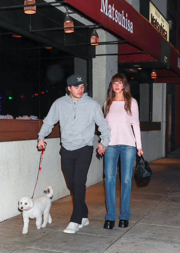 Простые радости: Бруклин Бекхэм и Никола Пельтц на прогулке с собакой