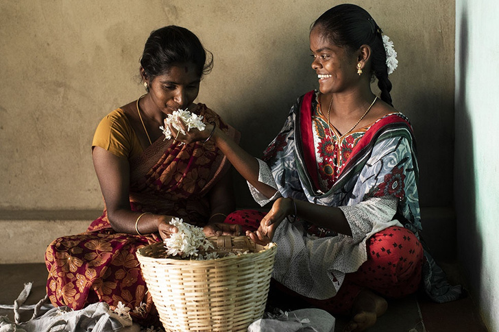 Драгоценный жасмин: Bvlgari поддержал цветоводческий проект в Индии