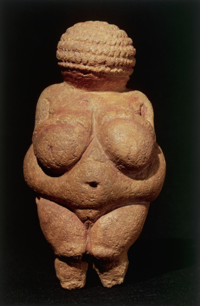 Эволюция женской груди: от палеолитической Венеры до наших дней