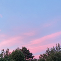 Аватарка crazy_teaparty