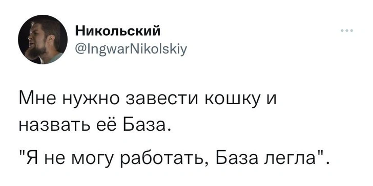 Шутки вторника и no-money заказчик