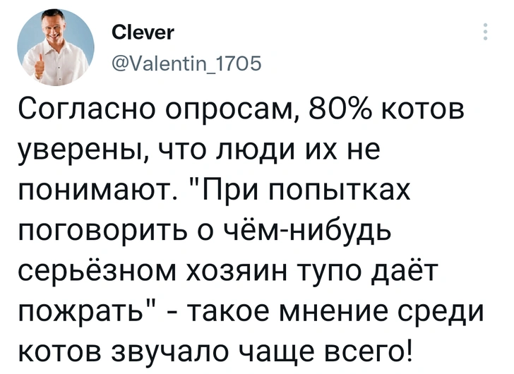 Шутки среды и бесконечно смотреть на москвичей