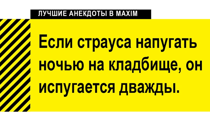 Лучшие анекдоты к Хеллоуину: про вампиров, зомби и прочую нежить