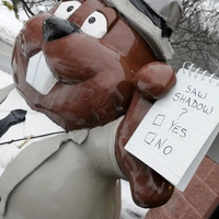 Тень сурка Фила: как живет американский городок Панксатони, в котором обитает самый известный метеоролог в мире животных