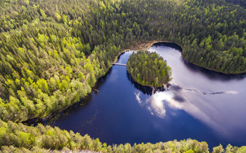 Пока дают визы: 3 лучших нацпарка Финляндии для любителей активного отдыха