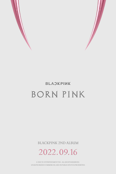YG Entertainment объявили точную дату камбэка BLACKPINK с альбомом «BORN PINK» 😎