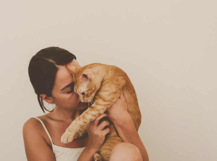 7 фактов о женщинах и кошках | MARIECLAIRE