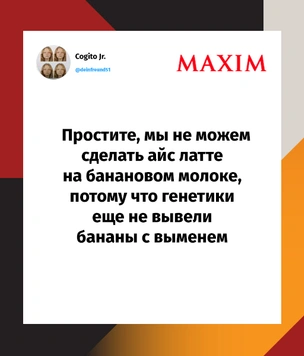Шутки понедельника и отличный древолаз