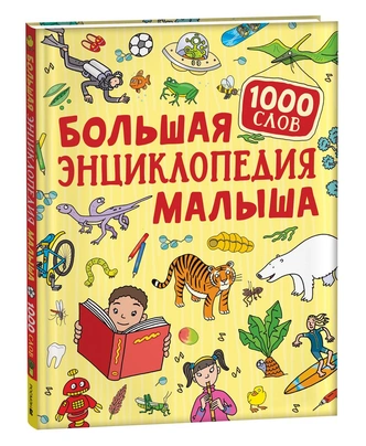 О динозаврах, космосе и подводном мире: 12 энциклопедий для почемучек