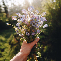 Аватарка Вероника