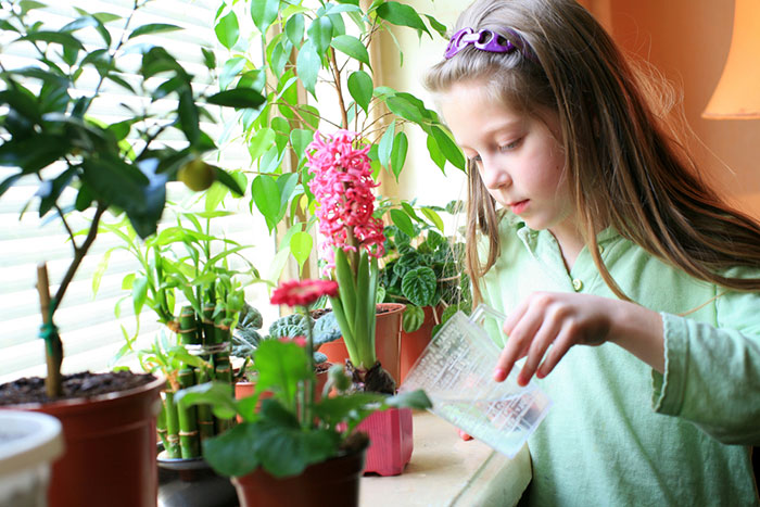 Играем в садовников: практическая ботаника для детей