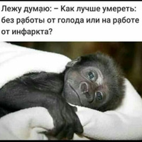 Аватарка Женщина дня