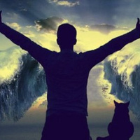 Аватарка adel_ante