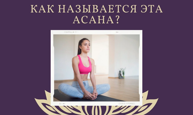 Quiz: Проверь, как хорошо ты знаешь асаны йоги 🙏