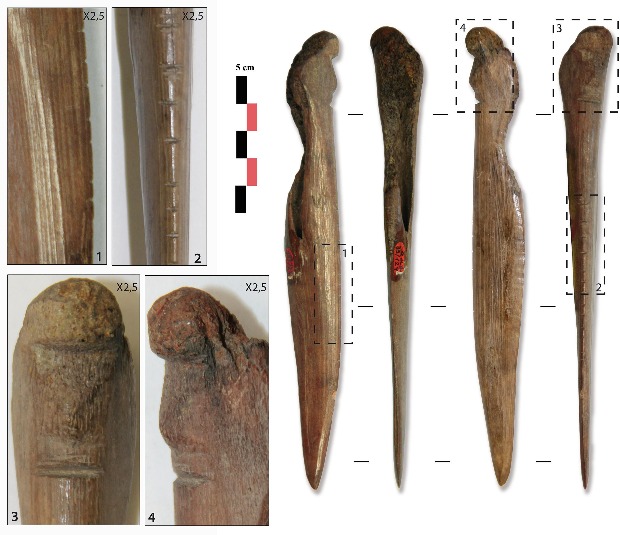 Редкая находка: археологи в Ивановской области раскопали могилу возрастом 7 тысяч лет