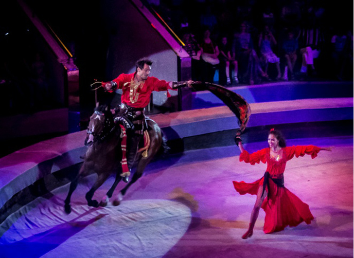 Баронеты: Топ-10 красавцев циркового шоу Гии Эрадзе