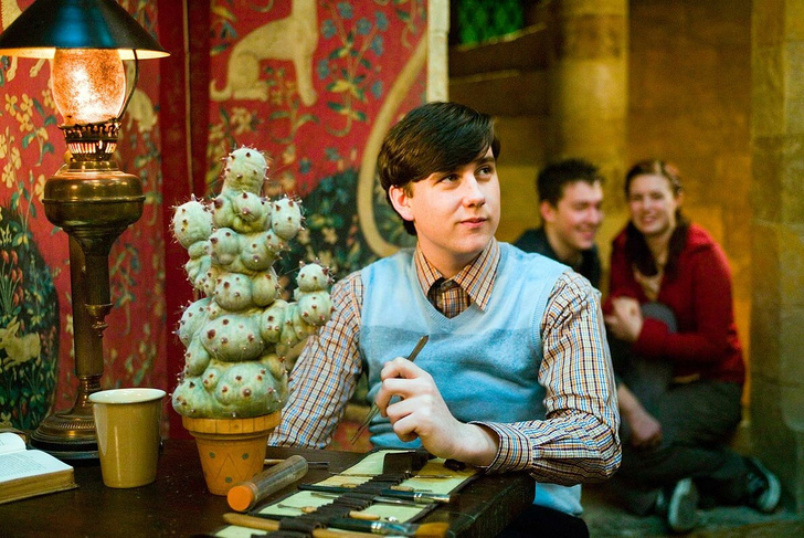 Фото №10 - Типы личности по Майерсу-Бриггсу: кто ты из «Гарри Поттера»