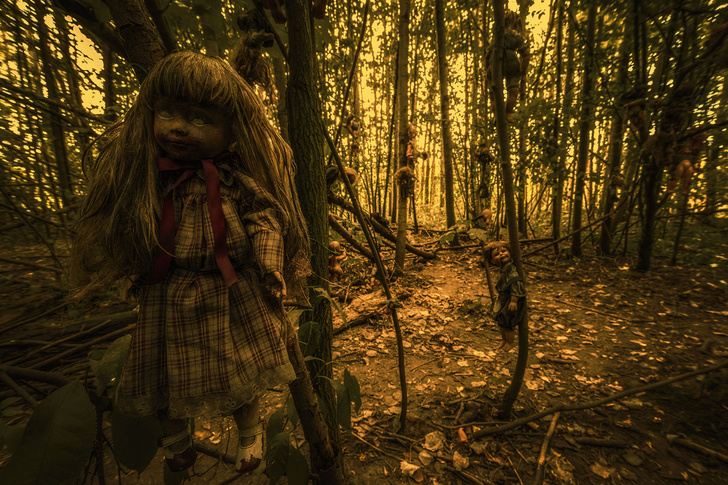 Фотографы сняли жуткий «кукольный лес» в Германии, куда боятся заходить живые