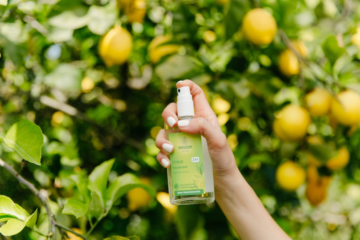 Биодинамический лимон из райских садов: все, что нужно знать о новой линии Weleda