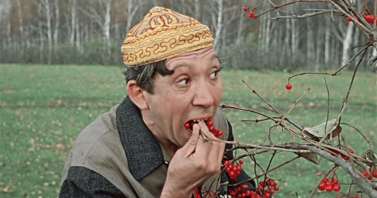 В каких фруктах и ягодах больше всего белка | MAXIM