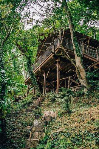 Домики на сваях посреди реликтового леса в Уэльсе