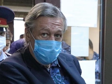 Михаил Ефремов получил 8 лет колонии