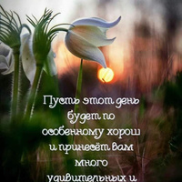 Аватарка NadezdaJakovleva87