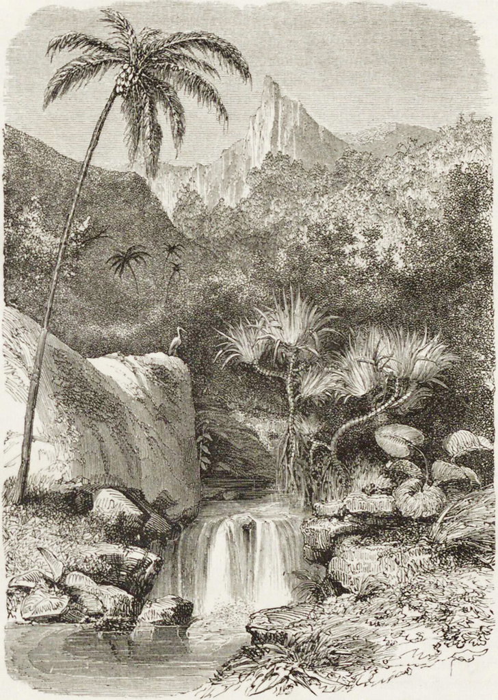 Принцевы острова: что писал о далеком архипелаге журнал «Вокруг света» в 1861 году