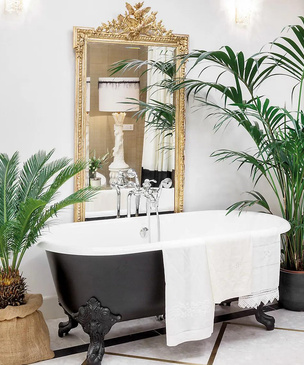 5 лучших растений для ванной комнаты