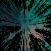 Аватарка S_SEM