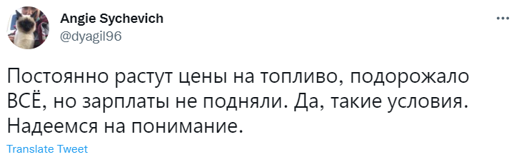 «Да, такие условия!»: лучшие шутки про ответ банка «Тинькофф» клиенту