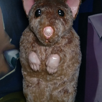 Аватарка PrivetMir