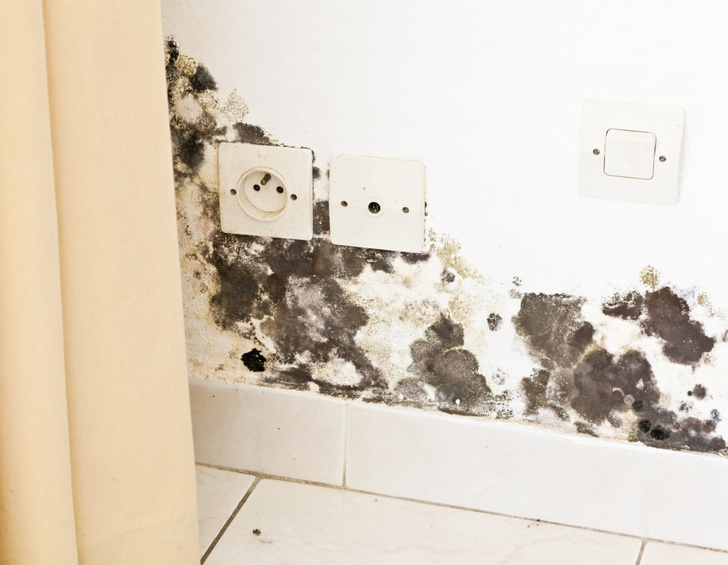 Как избавиться от черной плесени в ванной: отвечают пользовательницы Woman.ru