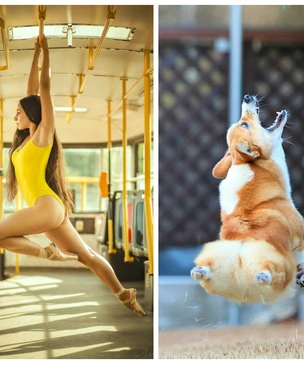 Лучшие фотожабы недели (14-20 декабря)
